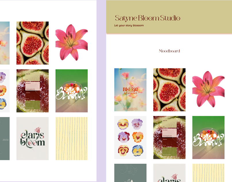 Charte-graphique-Satyne-Bloom-Studio